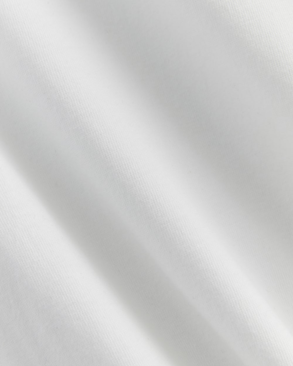 The Slim Crew in Essential Cotton | White